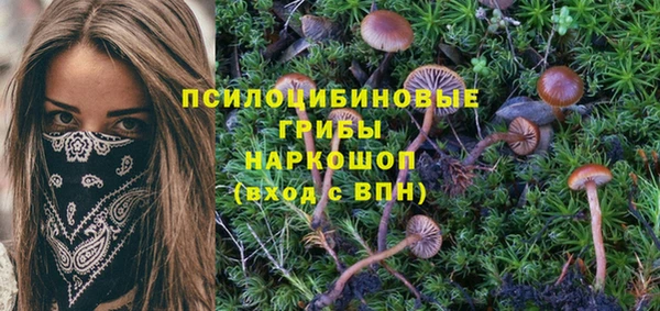 таблы Михайловка